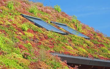 Shadsworth living roof systems