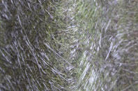 Shadsworth fibreglass roof work